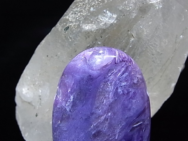 PA00099Kȡꤢڥȥȥå