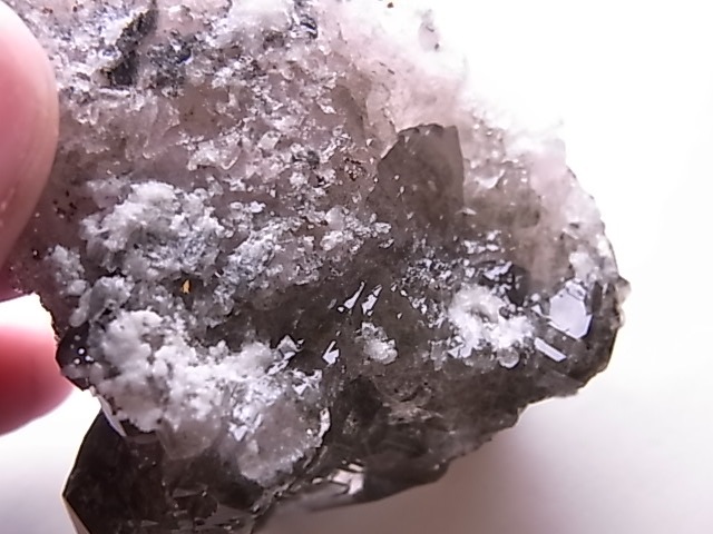 GA00140F�����֥��徽�����С��ե�󥹻�