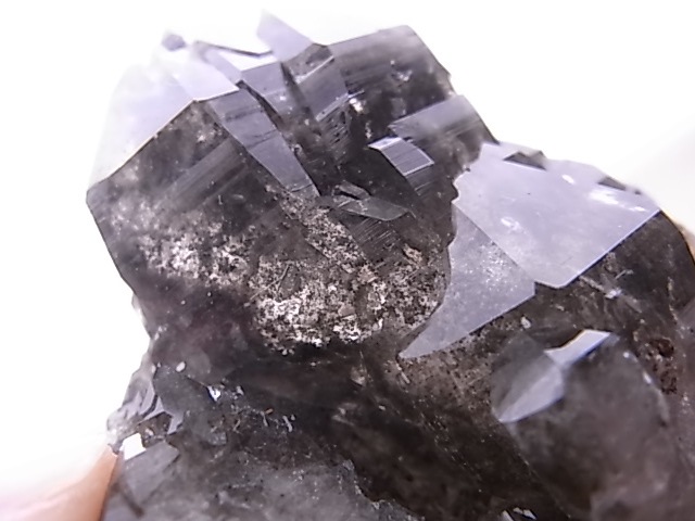 GA00140F�����֥��徽�����С��ե�󥹻�