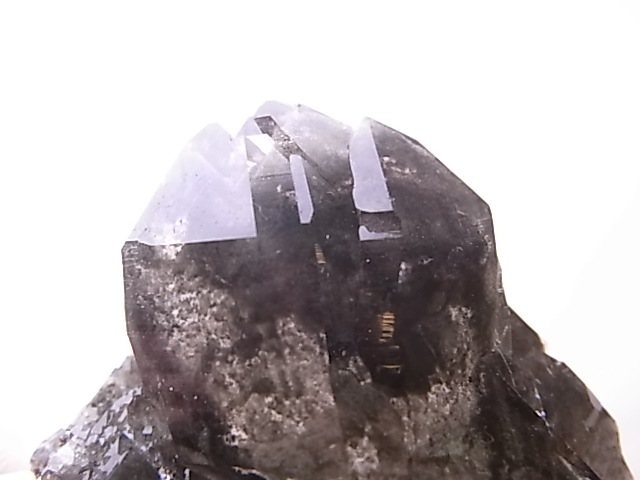 GA00140F�����֥��徽�����С��ե�󥹻�