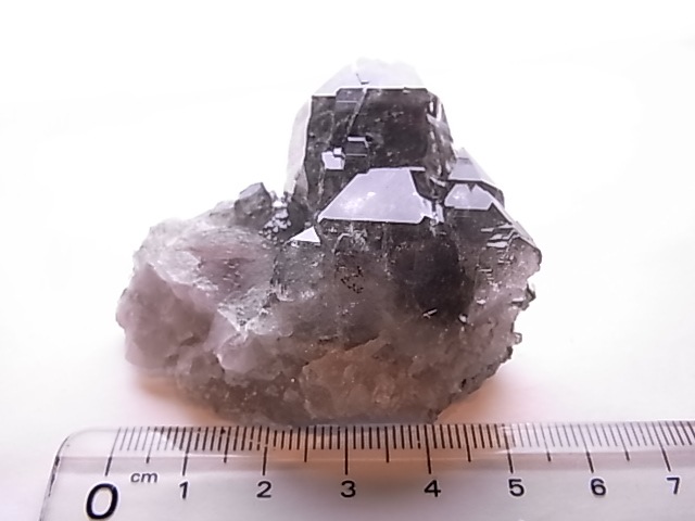 GA00140F�����֥��徽�����С��ե�󥹻�