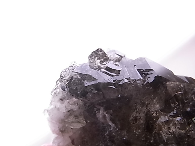 GA00140F�����֥��徽�����С��ե�󥹻�