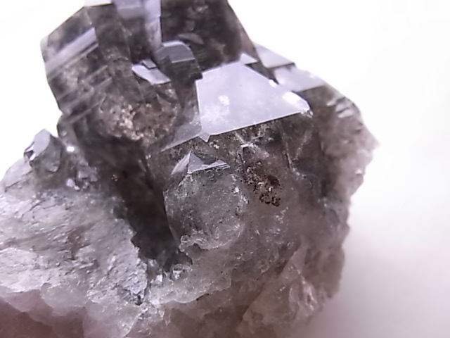 GA00140F�����֥��徽�����С��ե�󥹻�