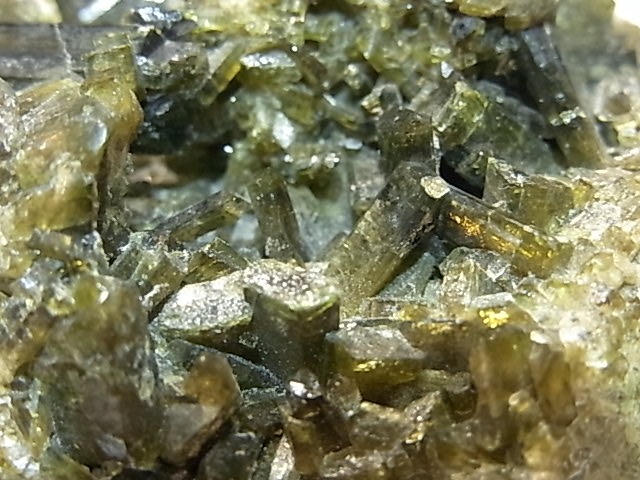 CA00068K�����ԥɡ��ȡ��ݶ̡��ڥ롼��