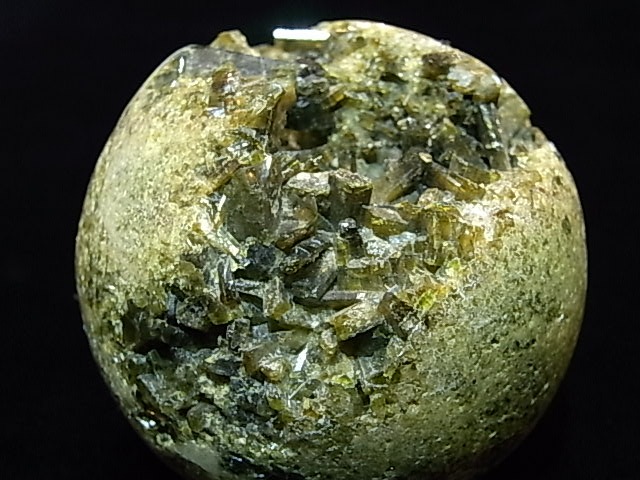 CA00068K�����ԥɡ��ȡ��ݶ̡��ڥ롼��