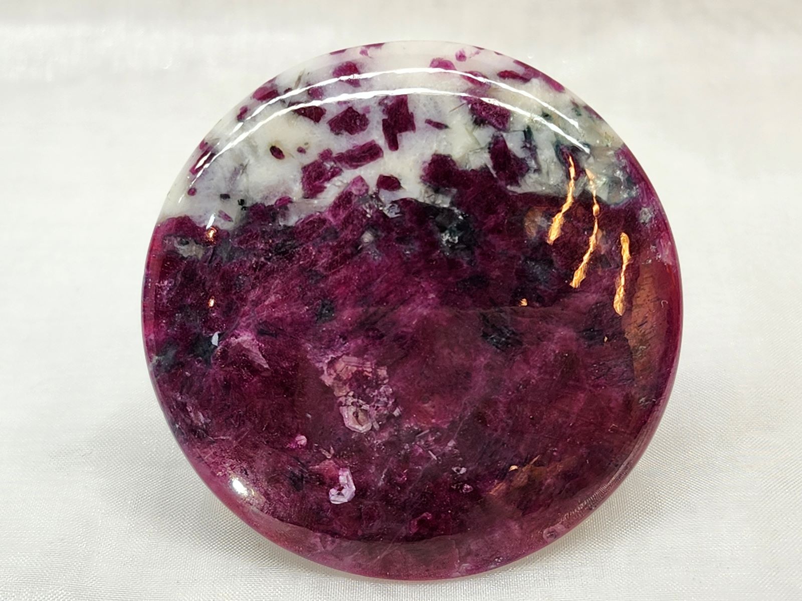 CAIT0006F ӡ󥢥ݥե饤 롼