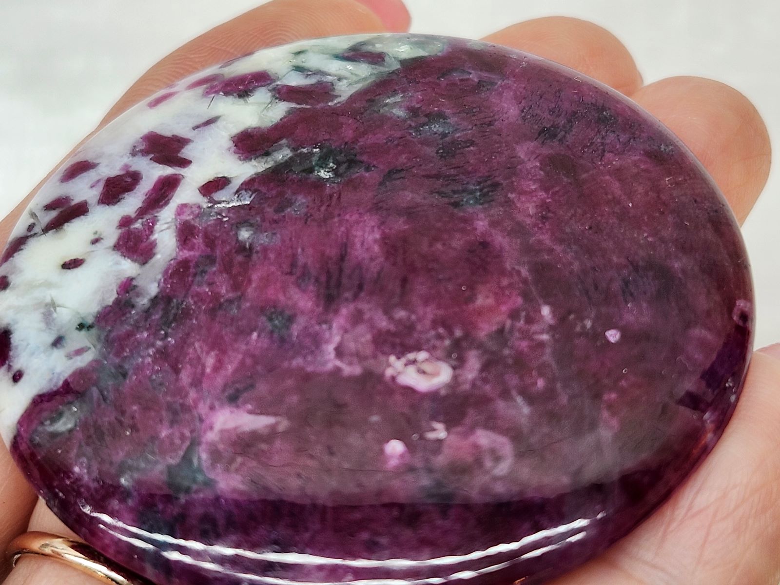 CAIT0006F ӡ󥢥ݥե饤 롼