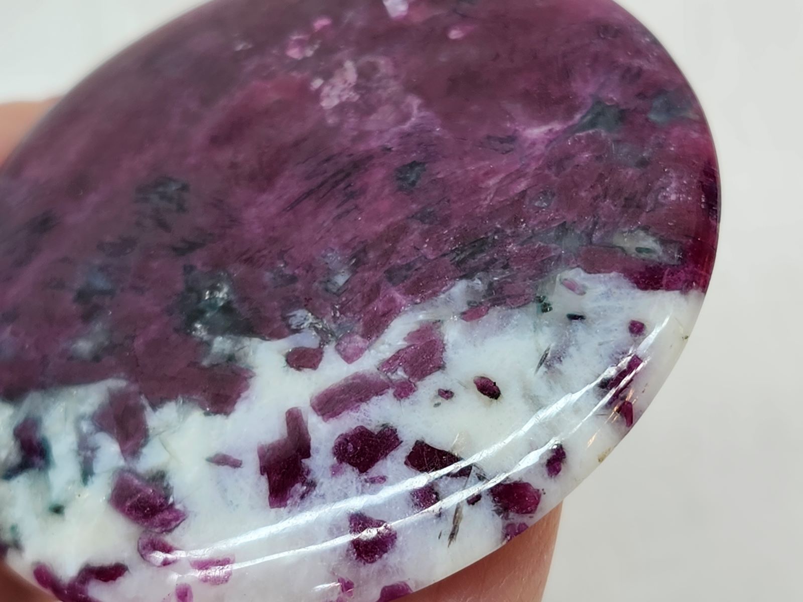 CAIT0006F ӡ󥢥ݥե饤 롼