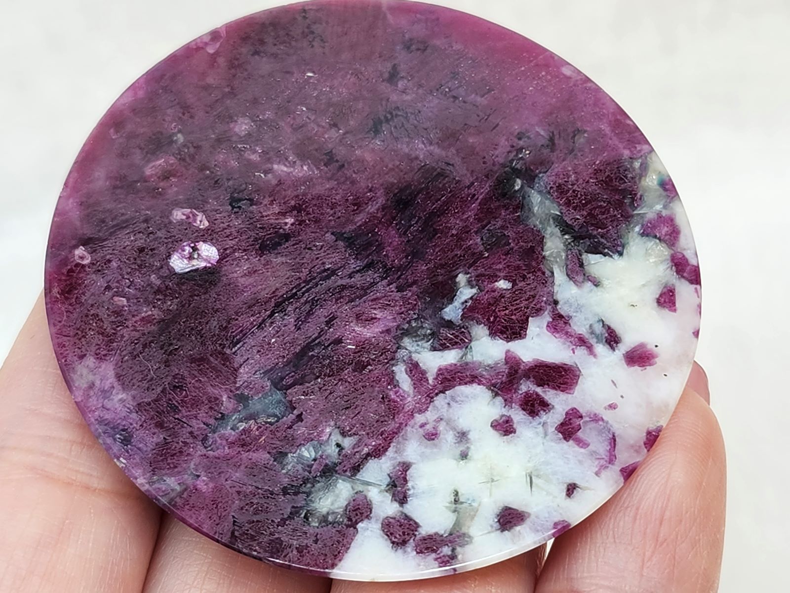 CAIT0006F ӡ󥢥ݥե饤 롼