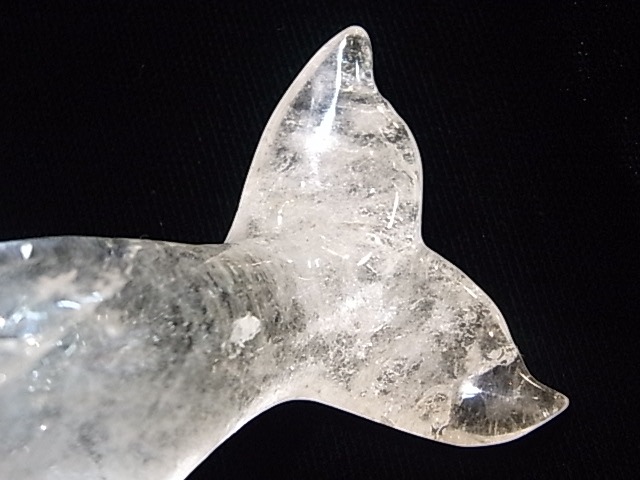 CA00031K���徽�����륫����ʪ�� �쥤��ܡ�����