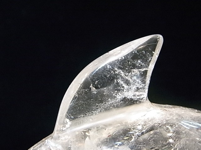 CA00031K���徽�����륫����ʪ�� �쥤��ܡ�����