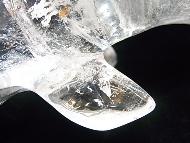 CA00031K���徽�����륫����ʪ�� �쥤��ܡ�����