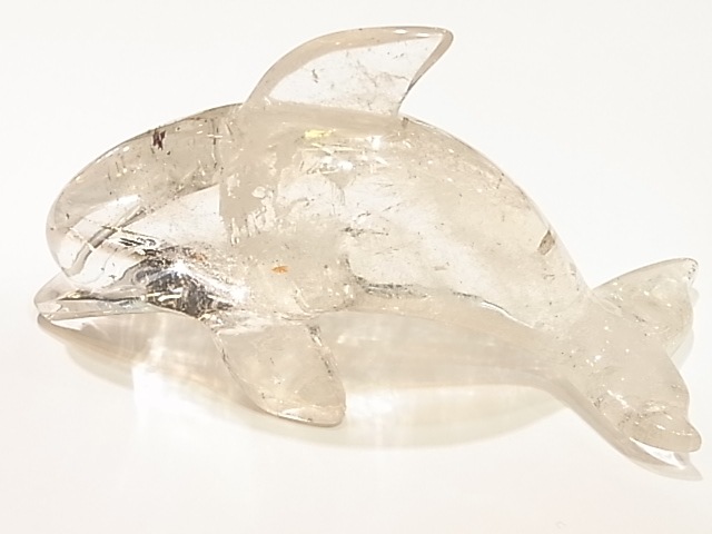 CA00031K���徽�����륫����ʪ�� �쥤��ܡ�����