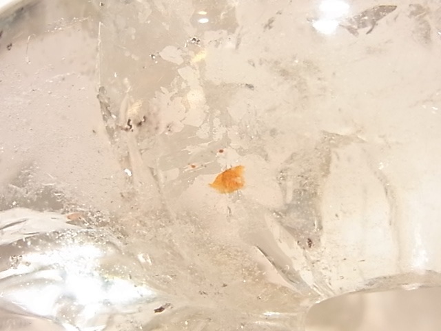 CA00031K���徽�����륫����ʪ�� �쥤��ܡ�����