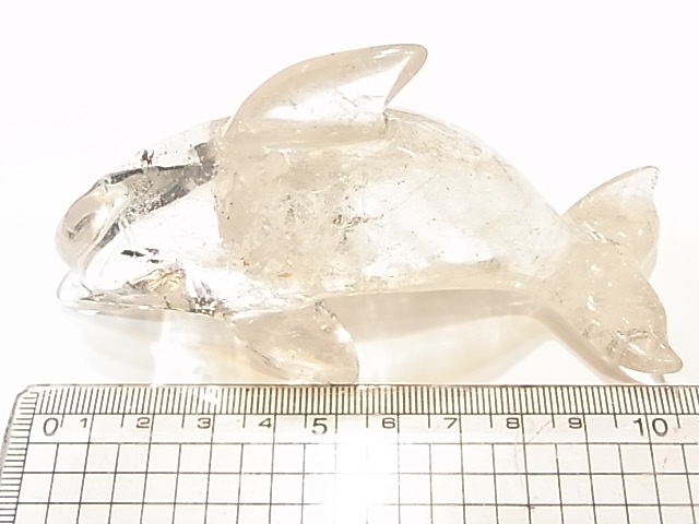 CA00031K���徽�����륫����ʪ�� �쥤��ܡ�����