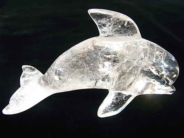 CA00031K���徽�����륫����ʪ�� �쥤��ܡ�����