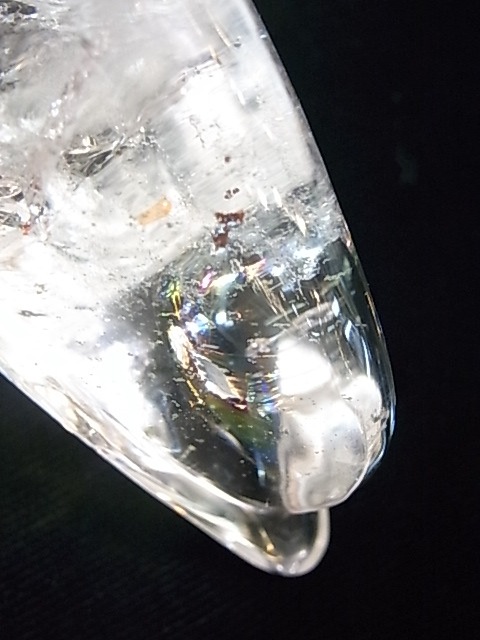 CA00031K���徽�����륫����ʪ�� �쥤��ܡ�����