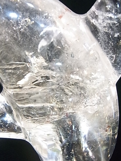 CA00031K���徽�����륫����ʪ�� �쥤��ܡ�����