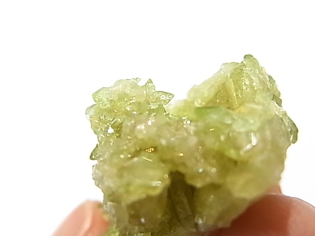 GA00031K���Ե������Сե٥��ӥ��ʥ��ȡʥ����ɥ��졼���˥���ꥫ�����٥å�����