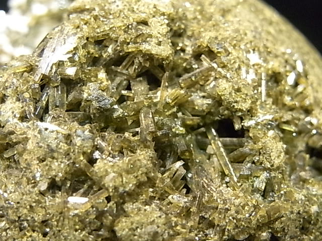 CA00069K�����ԥɡ��ȡ��ݶ̡��ڥ롼��