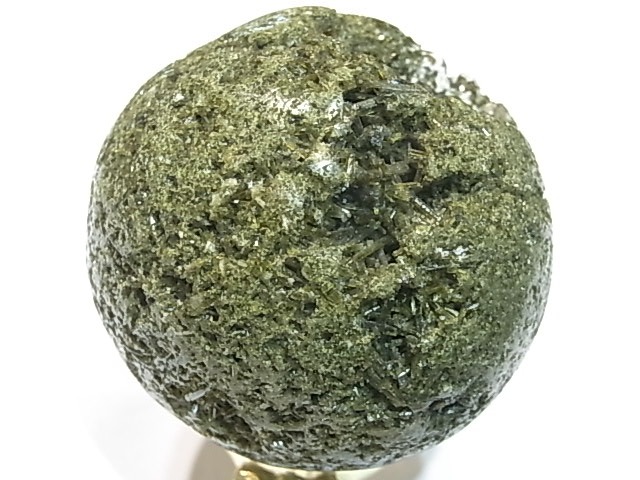 CA00069K�����ԥɡ��ȡ��ݶ̡��ڥ롼��