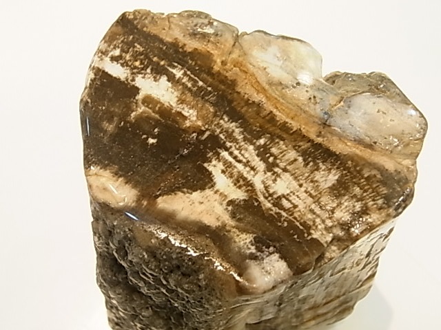 GK00015F  �ڥȥ�ե����ɥ��åɸ��С��ڴ����С�