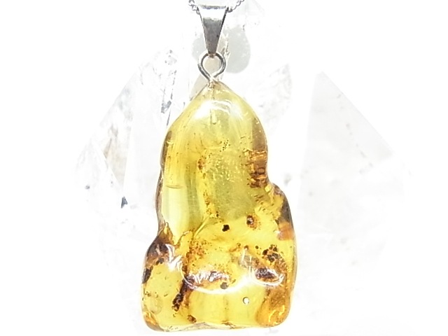 PF0089  ����С�