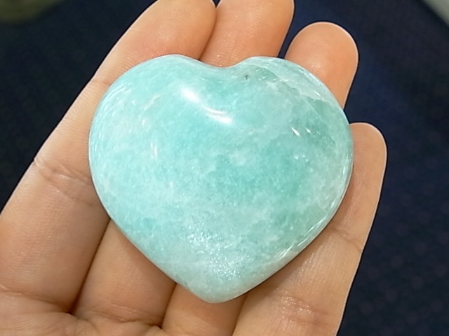 PRK00016F ޥʥȡ ϡȷݥå塡(ޥ뻺)