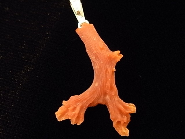 PK00153F ��åɥ�����롡����С��ڥ����ȥإå�(���泤��)