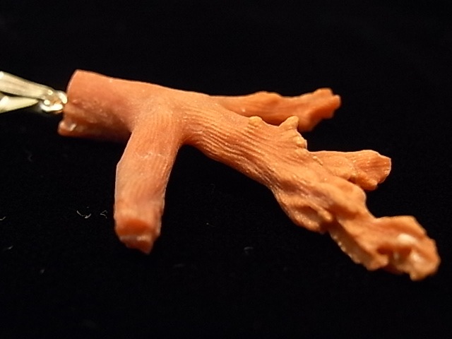 PK00154F ��åɥ�����롡����С��ڥ����ȥإå�(���泤��)