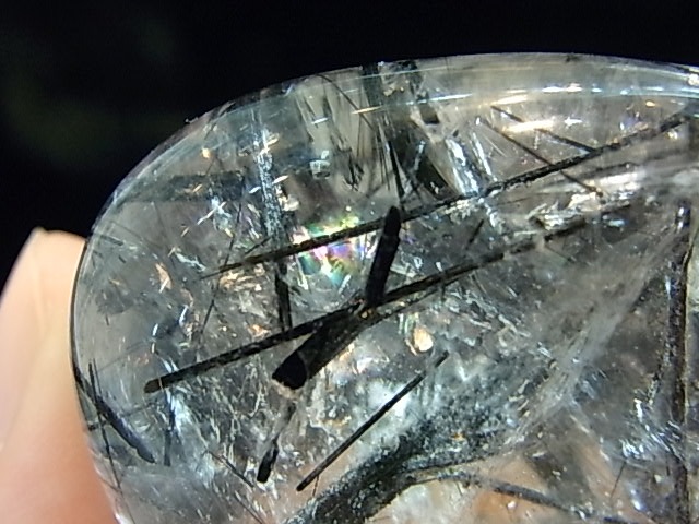 PRK00032F �֥�å�����롡�ݥ�å���