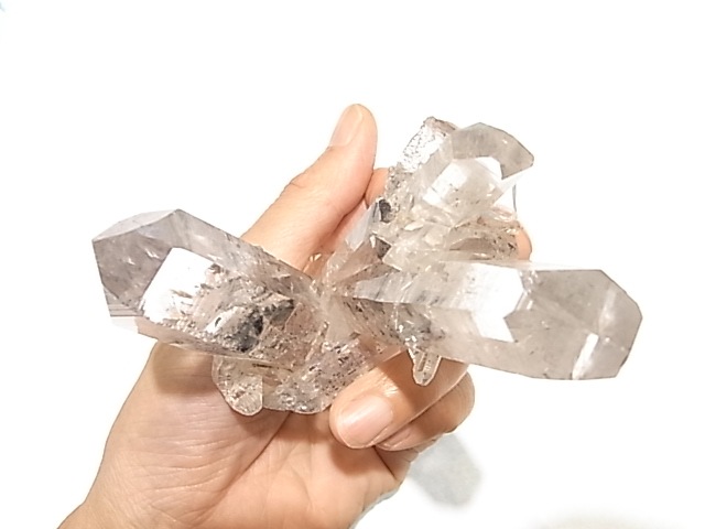 TG000015T�����٥åȥ������ġ�����