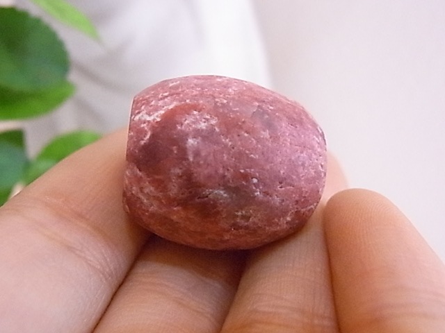 BU0082F ���塼�饤�ȡ��ڥ����ȥإåɡ��ꤢ��