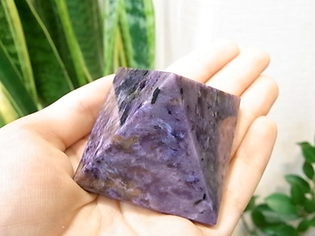 UE00011K������������� �ԥ�ߥå�