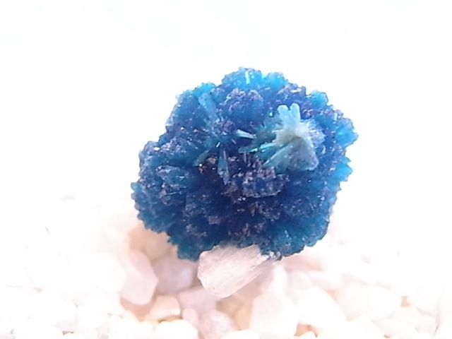 BU0125F ���Х󥵥��ȸ��С�����ɻ�