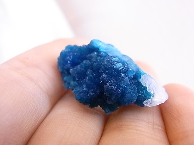 BU0126F ���Х󥵥��ȸ��С�����ɻ�