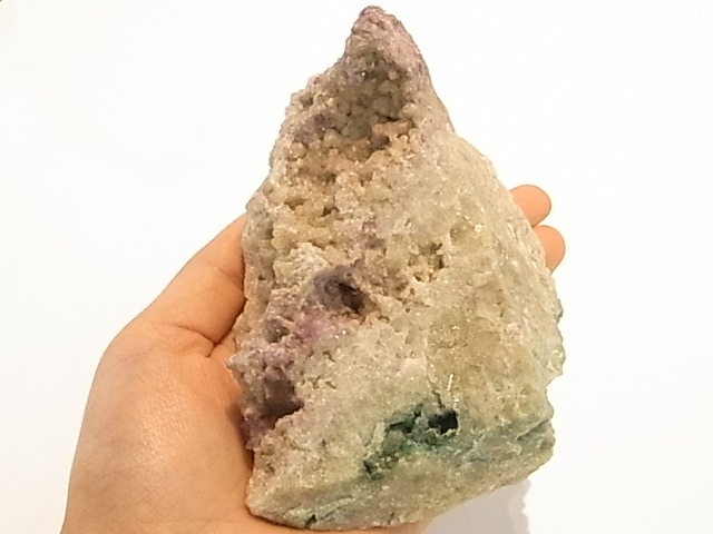 GK00226F  �٥��ӥ��ʥ��ȸ��С�(����ꥫ�����٥å���)���ڴ����С�