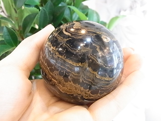 BU00176�����ȥ��ޥȥ饤�ȡ��ڥ롼��