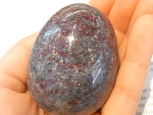 EK00027F Тӡ󥫥ʥȡå(ɻ)