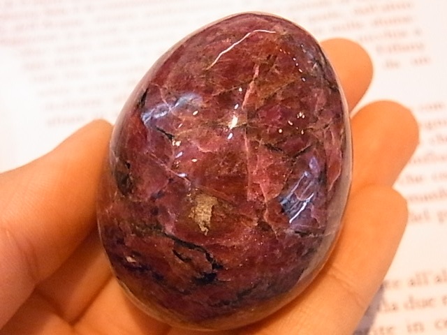 EK00029F ������Т�桼�ǥ����饤�ȡ����å���(��������)