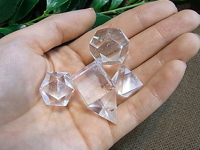 UE00095K �ץ�ȥ�Ω�Ρ�5�ĥ��å�