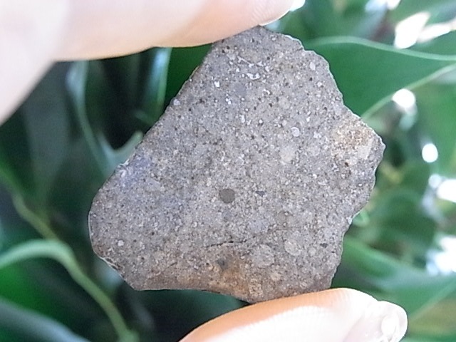 BU00203F����ƥ��饤�ȡ�NWA869