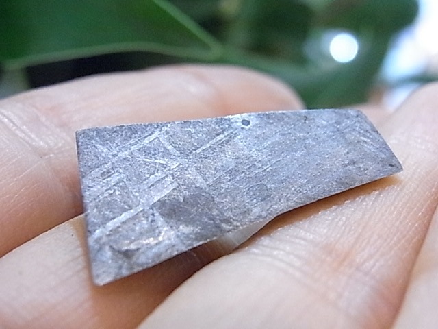 BU00205Fƥ饤 Gibeon