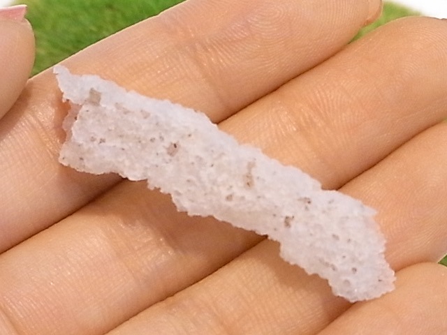 BU00207F �ե륰�饤��