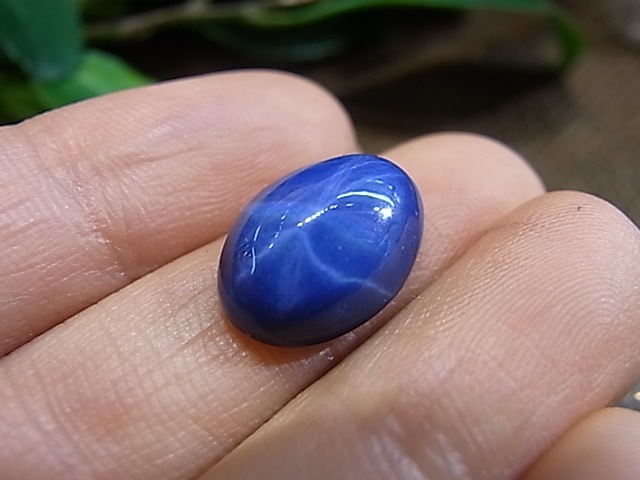 UE00117K ���������ե��������롼��(����ù�)