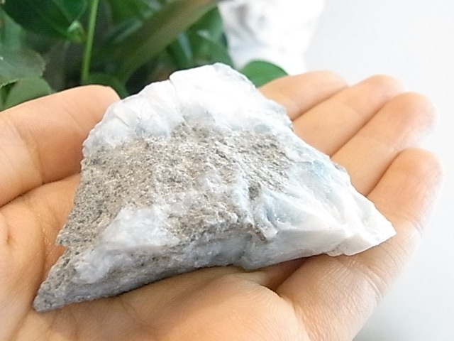 BU00217F�����ޡ�������