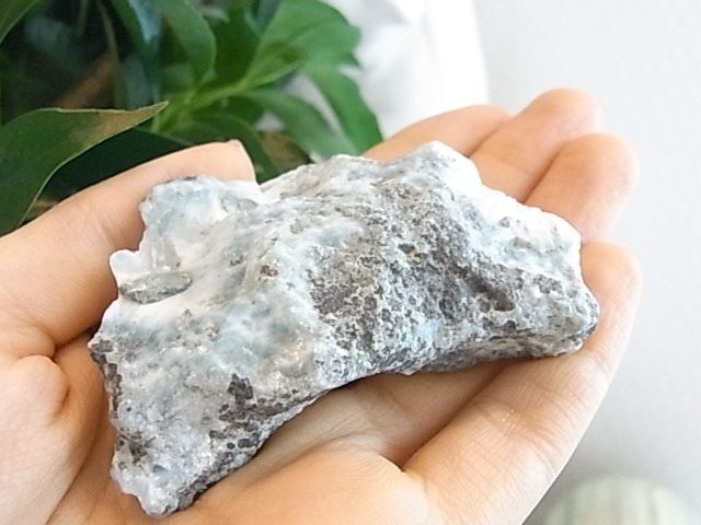 BU00219F�����ޡ�������