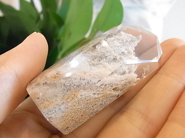 BU00260F �ۥ磻�ȥ����ǥ󥯥�����