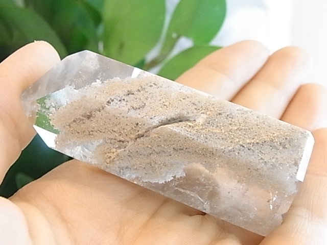 BU00261F �ۥ磻�ȥ����ǥ󥯥�����
