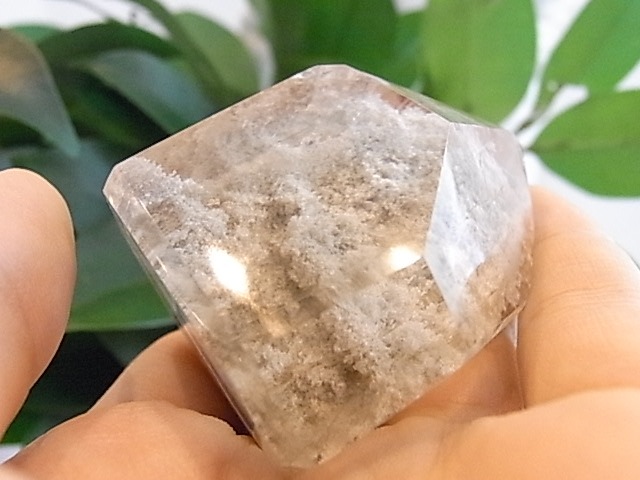 BU00262F �ۥ磻�ȥ����ǥ󥯥�����